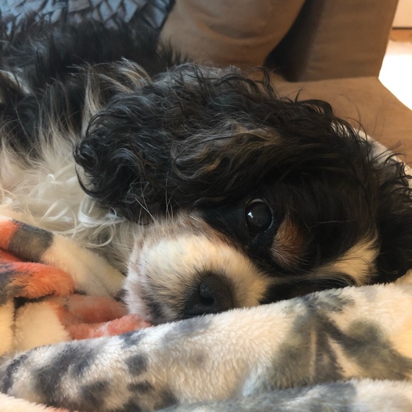 Meet your Posher, π³οΈβπ Lu - Picture 9 of 11